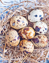 Similar image 7681050