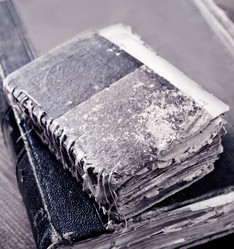 Similar image 7681225