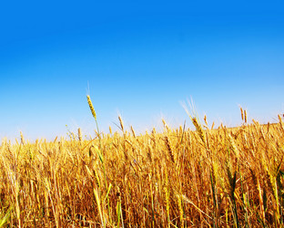 Similar image 7681268