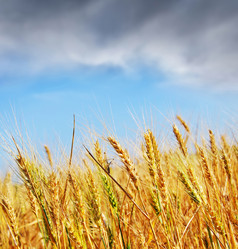 Similar image 7681269