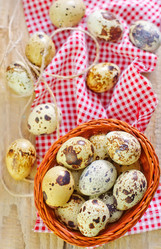 Similar image 7681299