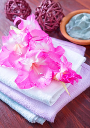 Similar image 7681511