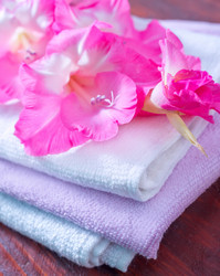 Similar image 7681513