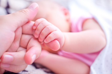 Similar image 7681549