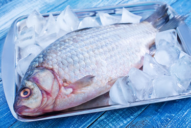 Similar image 7681784