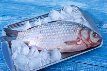 Similar image 7681790