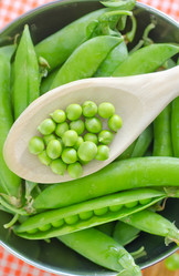 Similar image 7681866