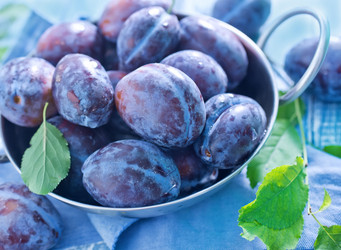 Similar image 7681996