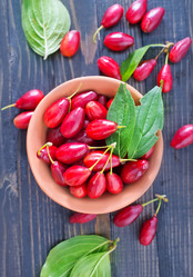 Similar image 7682011