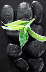 Similar image 7682172