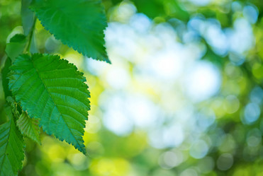 Similar image 7682434