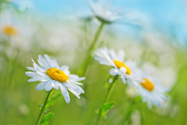 Similar image 7682447