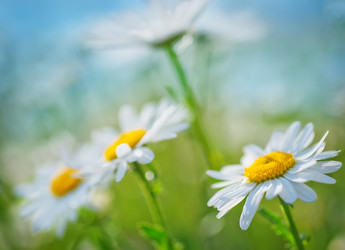 Similar image 7682448