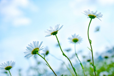 Similar image 7682449