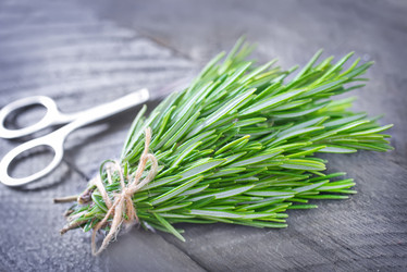 Similar image 7682635