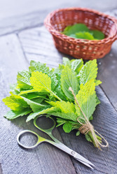 Similar image 7682639