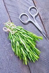 Similar image 7682640