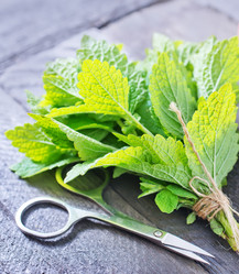 Similar image 7682642