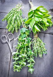 Similar image 7682643