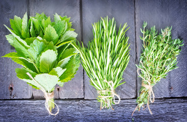 Similar image 7682644