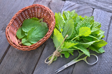 Similar image 7682653