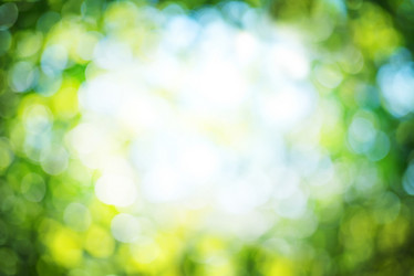 Similar image 7682934