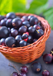 Similar image 7683177