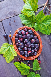 Similar image 7683179