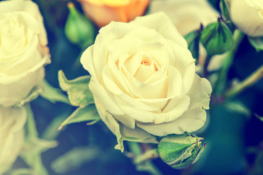 Similar image 7683202