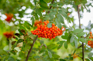 Similar image 7683220