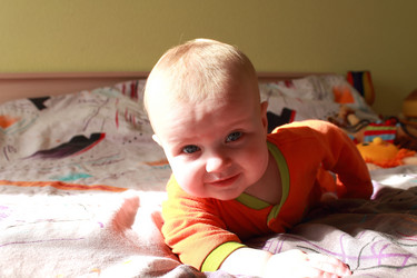 Similar image 7683229