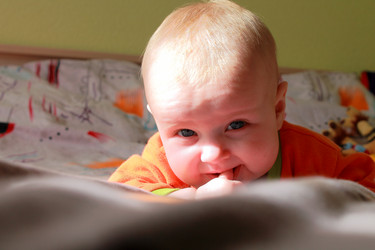 Similar image 7683230