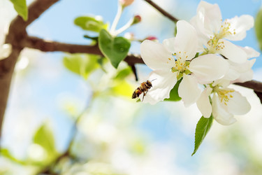 Similar image 7683257