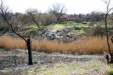 Similar image 7683277