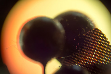 Similar image 7683425