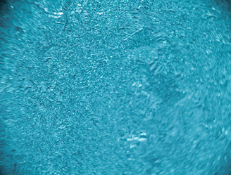 Similar image 7683427