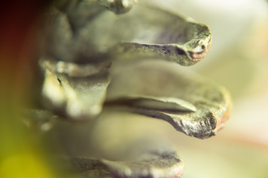 Similar image 7683436