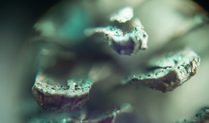 Similar image 7683437