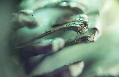 Similar image 7683440