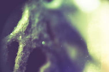 Similar image 7683442