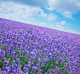 Similar image 7683606