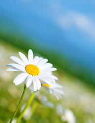 Similar image 7683607