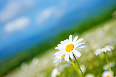 Similar image 7683608