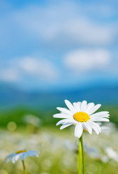 Similar image 7683609