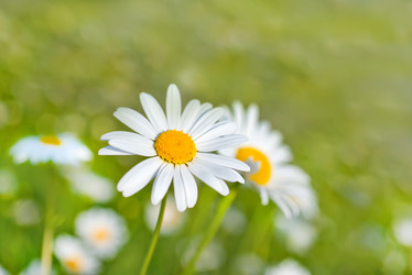 Similar image 7683611