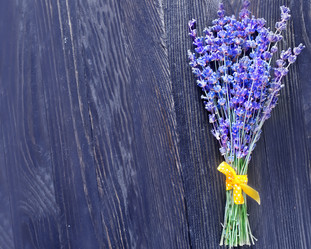 Similar image 7683677