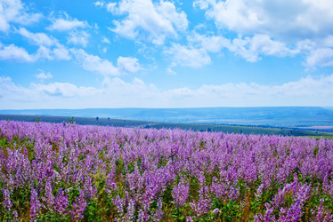 Similar image 7683682