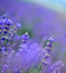 Similar image 7683727