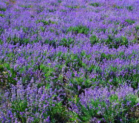 Similar image 7683731