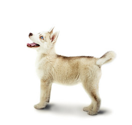 Similar image 7683768